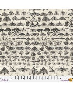 Eclectic Elements Palette by Tim Holtz: Charcoal Moths - FreeSpirit Fabrics pwth315.charcoal