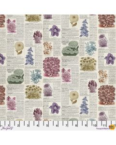 Eclectic Elements Palette by Tim Holtz: Multi Botany - FreeSpirit Fabrics pwth327.multi 