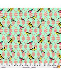 Moon Garden by Tula Pink: 'Til Dawn  In a Finch Dawn -- FreeSpirit Fabrics pwtp198.dawn