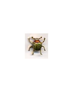 Button: Beetle Green (5/8 x 5/8) - Susan Clarke Originals be-573a
