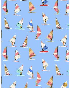Sun of a Beach: Windsurfers -- Dear Stella Designs stella-2017 aquarius