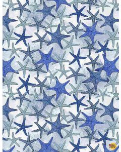 Ocean Blue: Starfish -- Timeless Treasures Fabrics Thomas-cd1299 blue
