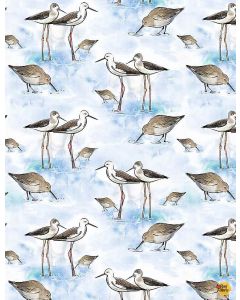 Ocean Blue: Sandpipers -- Timeless Treasures Fabrics Thomas-cd1305 white