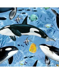 Aquarium: Swimming Killer Whales Blue -- Timeless Treasures sea-c7959 blue 