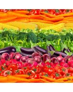 Fresh Veggies: Vegetable Stripe -- Timeless Treasures Fabrics food-cd1980 multi