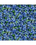 Summer Picnic: Blueberries Bush - Timeless Treasures Fabric Fruit-cd1746 navy