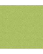 Baby Safari: Mini Spot Green -- Northcott Fabrics 24678-74 