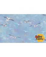 Safe Harbor: Seagulls Blue -- Northcott Fabrics 24962-44