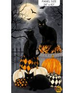 Hallow's Eve: Halloween Cat Panel (2/3 yard) -- Northcott Fabrics dp27080-99