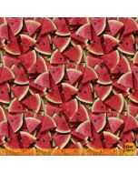 A La Carte: Slice of Life Watermelon -- Windham Fabrics 51893d-x