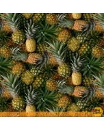 A La Carte: Welcome Committee Pineapple -- Windham Fabrics 51895d-x