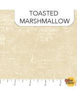 Canvas Coordinate: Toasted Marshmallow -- Northcott 9030-12 - presale April/May