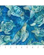Turtle Bay: Turtles Indigo Multi -- Northcott Fabrics dp24717-48