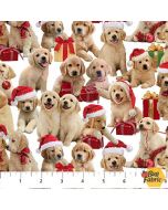 Golden Christmas: Golden Retriever Dogs White -- Northcott Fabrics dp25293-10 