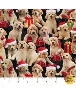 Golden Christmas: Golden Retriever Dogs Black -- Northcott Fabrics dp25293-99