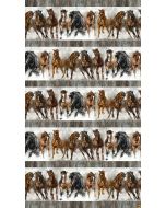 Stallion: Horse Border Stripe -- Northcott Fabrics dp26811-92