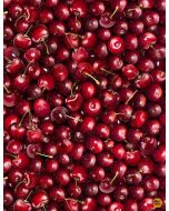 Fruit Bowl: Packed Cherries -- Timeless Treasures Fabrics Fruit-cd1372 red