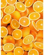 Fruit Bowl: Packed Oranges -- Timeless Treasures Fabrics Fruit-cd1374 orange