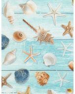 Beach Day: All Over Seashells Aqua -- Timeless Treasures Fabrics beach-c6744 aqua