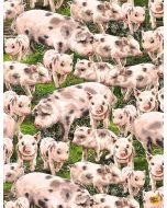 Blake's Farm / Farm Life: Packed Pigs -- Timeless Treasures dona-c8338 multi  