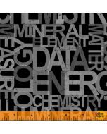 Its Elementary: Word Science Black/Gray -- Windham Fabrics 52039-3