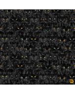 Wicked: Black Cats Magic - Timeless Treasures Fabric cat-cd1831 black
