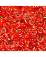 Fresh Veggies: Fresh Tomatoes -- Timeless Treasures Fabrics food-cd-1982 red