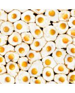 What's For Breakfast / Food: Fried Eggs -- Timeless Treasures food-cd3350 white