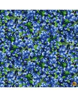 Summer Picnic: Blueberries Bush - Timeless Treasures Fabric Fruit-cd1746 navy