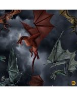 Dragon's Lair: Dragon's Battle Grey -- Timeless Treasures Fabrics fun-cd2494 grey - 1 yard 16" + FQ remaining