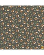 Into The Woods: Hedgehogs and Mushrooms -- Timeless Treasures Fabrics nature-cd2262 slate