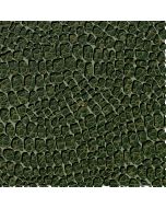 Dinosaur Trails by Raquel Maciel: Dinosaur Scales Skin - 3 Wishes Fabrics 24153-grn 