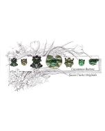 Button Set: Frog Button Set - Susan Clarke Originals card-1
