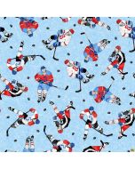 Winter Sports: Ice Hockey -- Northcott Fabrics 27241-44