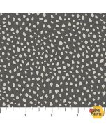 Wild One: Dark Gray Spots - Northcott Fabrics 27694-95