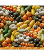 A La Carte: Full of Gourness Gourds -- Windham Fabrics 51896d-x