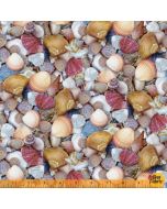 Landscapes: Shellabrate Shells -- Windham Fabrics 52117d-x