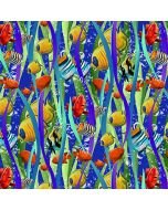 Reef Life: Fish and Seaweed Navy -- Studio E 5749-77