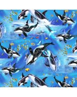Reef Life: Diving Whale Cyan -- Studio E 5754-17