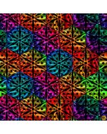 Rainbow Dragon: Spectrum Medallion Black -- Studio E Fabrics 5846-99 