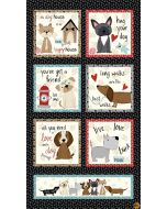 Paw-sitively Awesome Dog: Block Panel (2/3 yard) - Studio E Fabrics 7455p-99