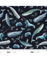 A Drop in the Ocean: Sealife Toss Whales - Studio E Fabrics 8818-74 midnight
