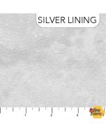 Toscana:  Silver Lining - Northcott Fabric 9020-91