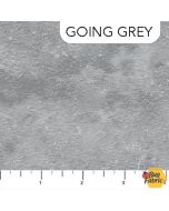 Toscana: Going Grey - Northcott Fabric 9020-93