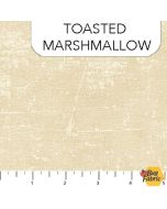 Canvas Coordinate: Toasted Marshmallow -- Northcott 9030-12