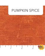 Canvas Coordinate: Pumpkin Spice - Northcott 9030-560