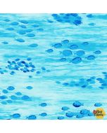 Coral Canyon: Fish Water -- Robert Kaufman Fabrics AQCD-19907-246