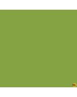Tula Pink Designer Essential Solids: Dragon's Breath Matcha -- Free Spirit Fabrics CSFSESS.MATCHA