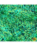 Jewels of the Sea: Anemone Jade -- Michael Miller Fabrics dcx11123-jade-d