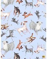 Dogs Rule Unleashed: Tossed Dogs Sky -- Timeless Treasures Fabrics dog-cd1243 sky